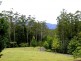 97 Mahers Rd, Bellingen NSW 2454
