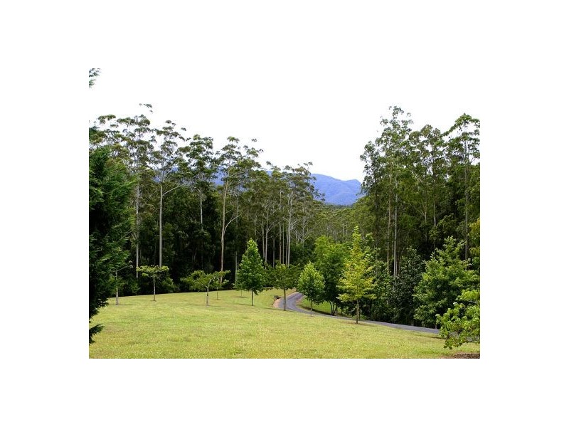 97 Mahers Rd, Bellingen NSW 2454
