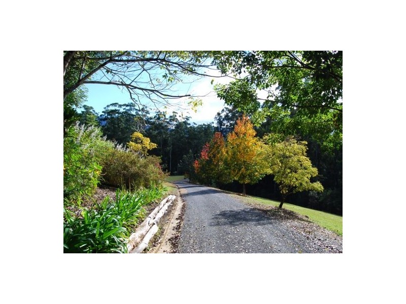 97 Mahers Rd, Bellingen NSW 2454