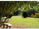 97 Mahers Rd, Bellingen NSW 2454