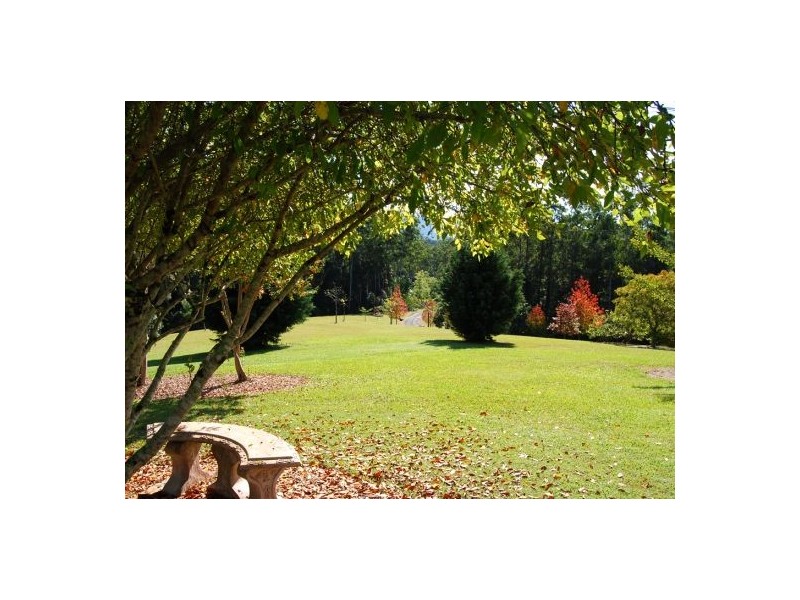 97 Mahers Rd, Bellingen NSW 2454
