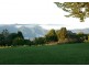 Dorrigo NSW 2453