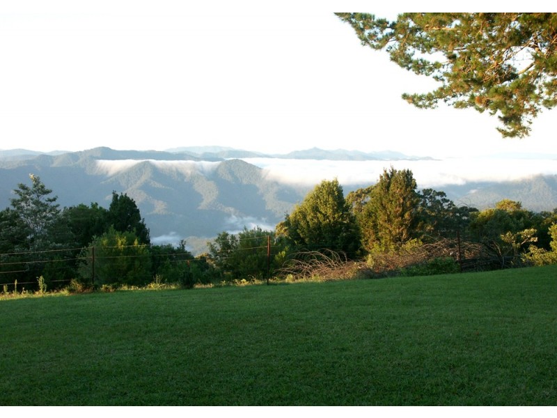 Dorrigo NSW 2453