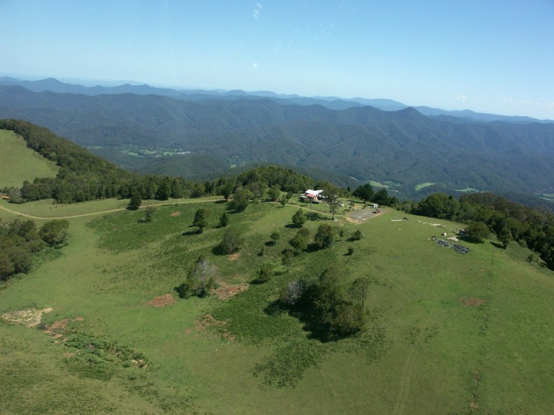 Dorrigo NSW 2453