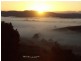 Dorrigo NSW 2453