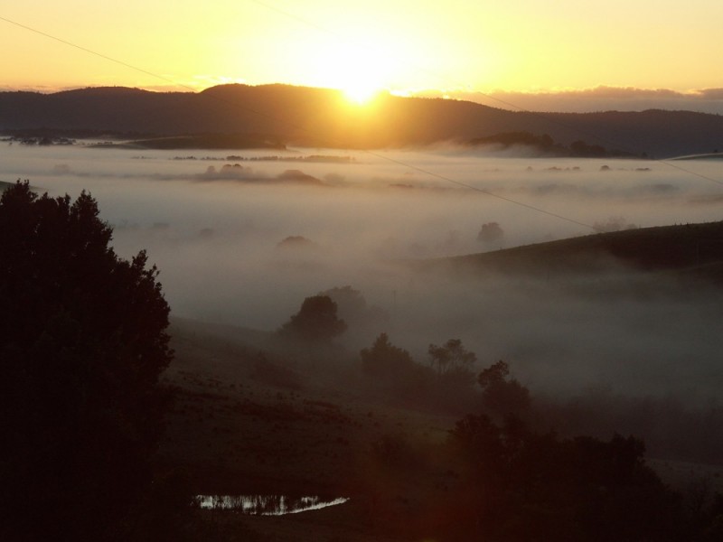 Dorrigo NSW 2453