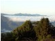 Dorrigo NSW 2453