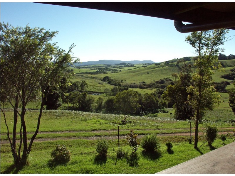 Dorrigo NSW 2453