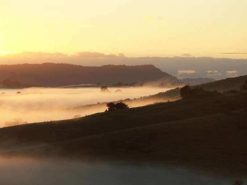 Dorrigo NSW 2453