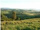 Dorrigo NSW 2453