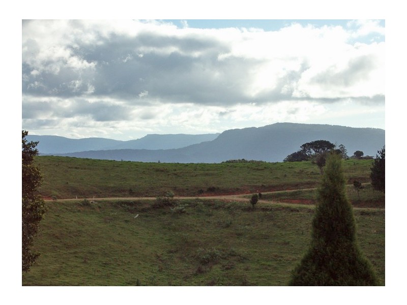 Dorrigo NSW 2453