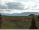 Dorrigo NSW 2453