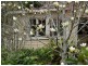 Dorrigo NSW 2453