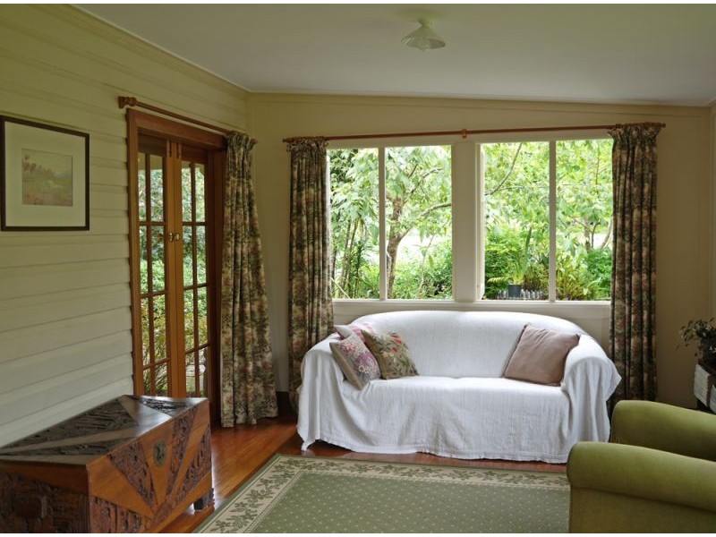 Dorrigo NSW 2453