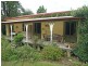 Dorrigo NSW 2453