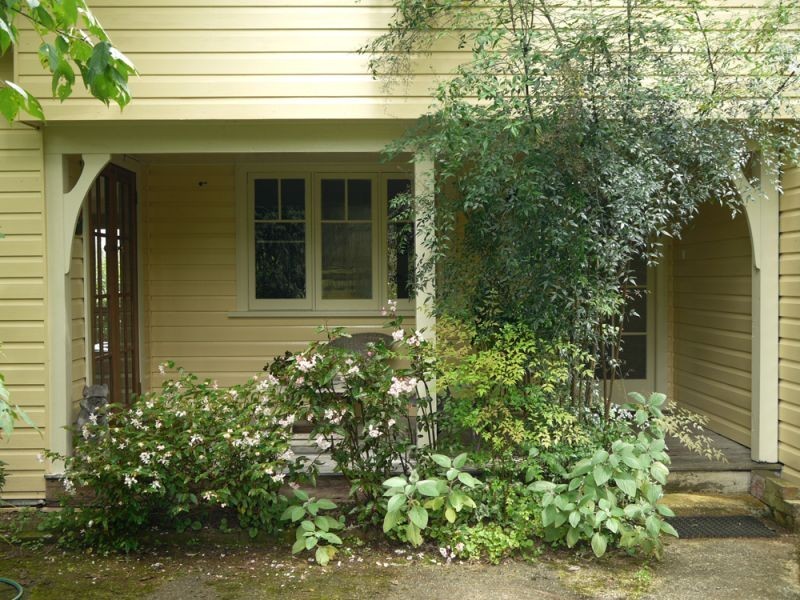Dorrigo NSW 2453
