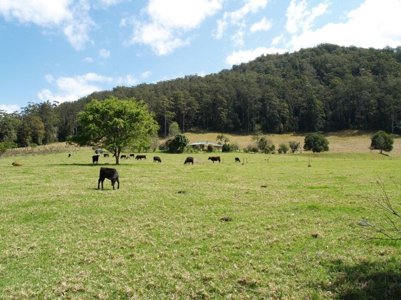 1898 Darkwood Road, Thora NSW 2454