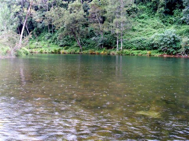 1898 Darkwood Road, Thora NSW 2454