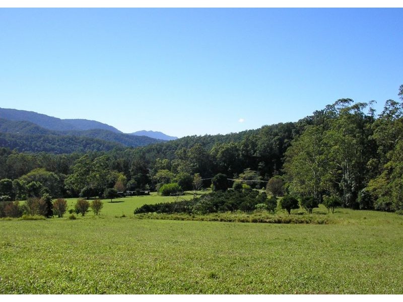 1898 Darkwood Road, Thora NSW 2454