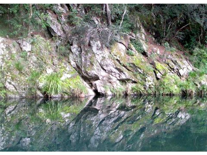 1898 Darkwood Road, Thora NSW 2454