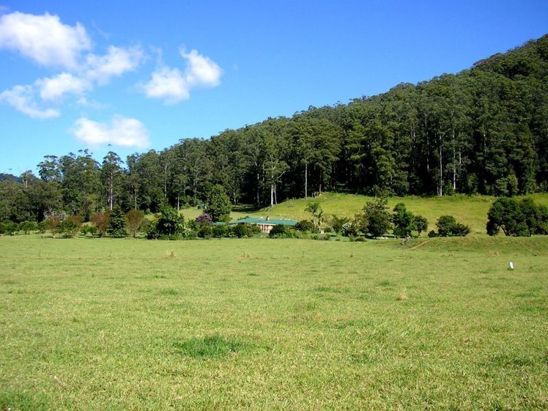 1898 Darkwood Road, Thora NSW 2454