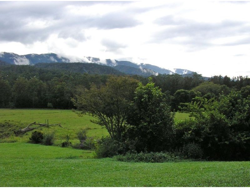 1898 Darkwood Road, Thora NSW 2454