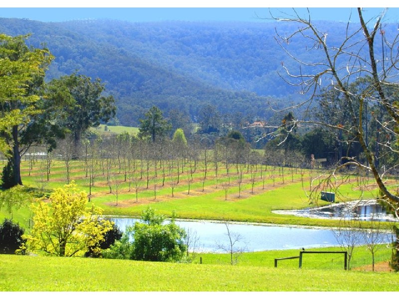 Coffs Harbour NSW 2450