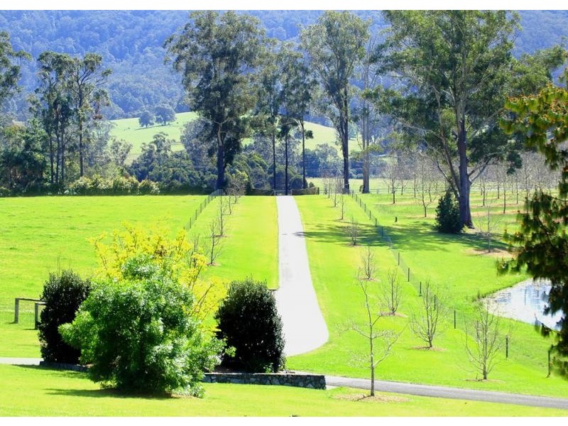 Coffs Harbour NSW 2450