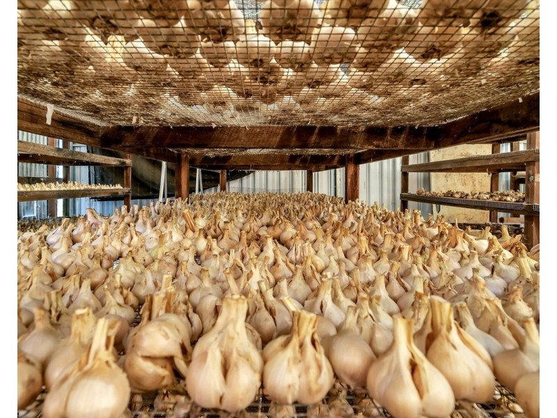 457 Summervilles Road, Bellingen NSW 2454