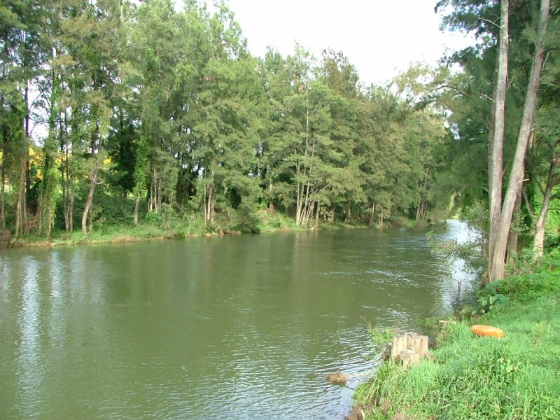 457 Summervilles Road, Bellingen NSW 2454