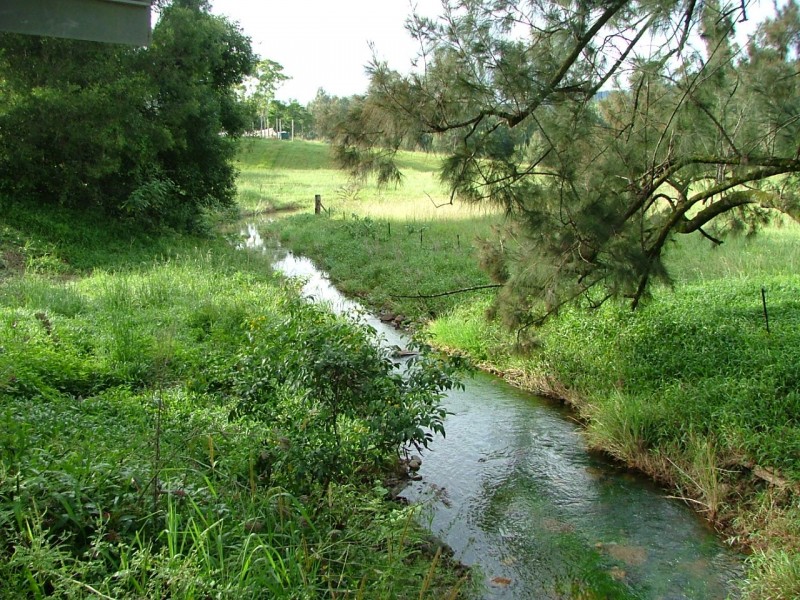 457 Summervilles Road, Bellingen NSW 2454