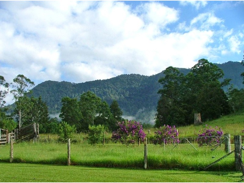 457 Summervilles Road, Bellingen NSW 2454