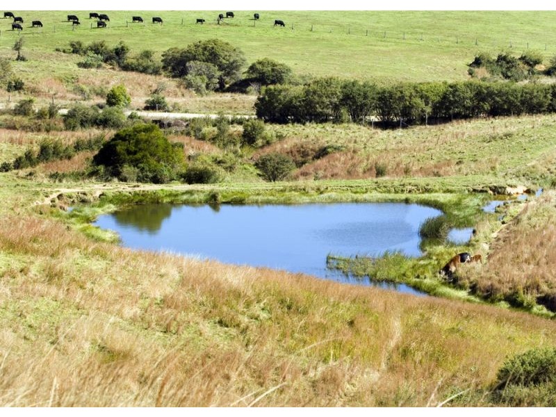 Lots 57 & 58 Upper Bo Bo Road, Brooklana NSW 2450