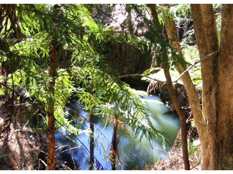 541 Friday Hut Road, Possum Creek NSW 2479