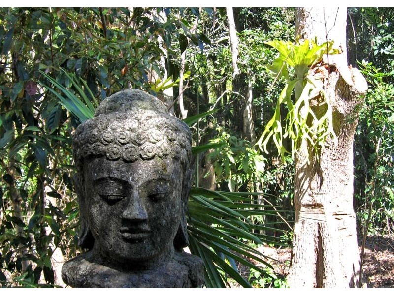 541 Friday Hut Road, Possum Creek NSW 2479