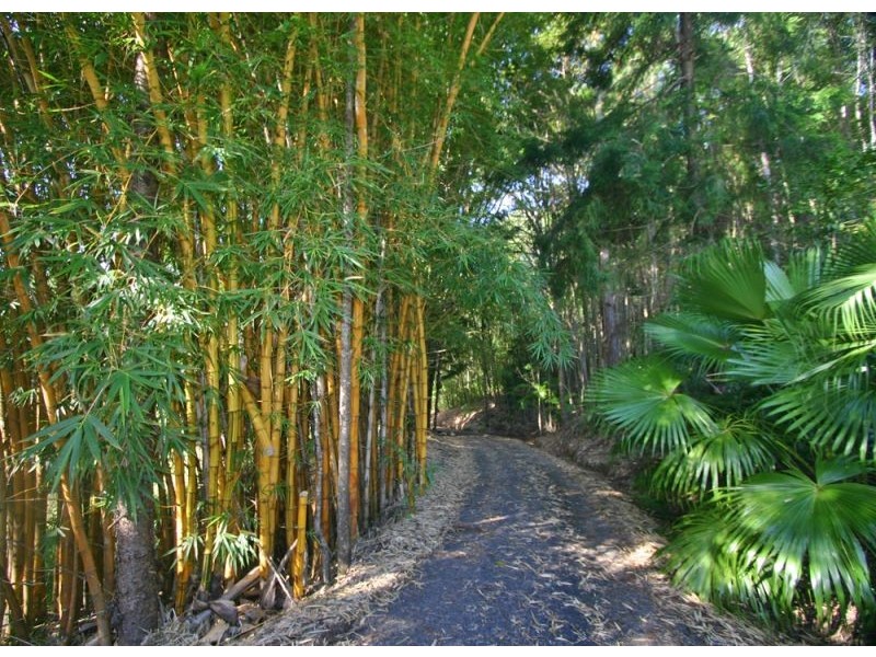 Possum Creek NSW 2479