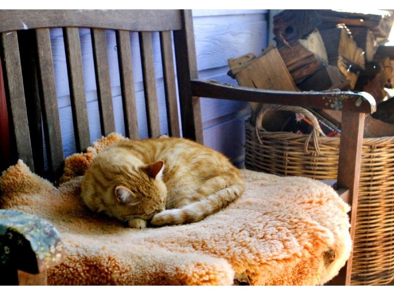 34 Casuarina Avenue, Bellingen NSW 2454