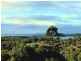 Ocean Shores NSW 2483