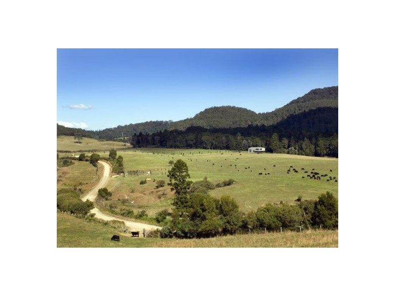 58 Upper BoBo Road, Dorrigo NSW 2453