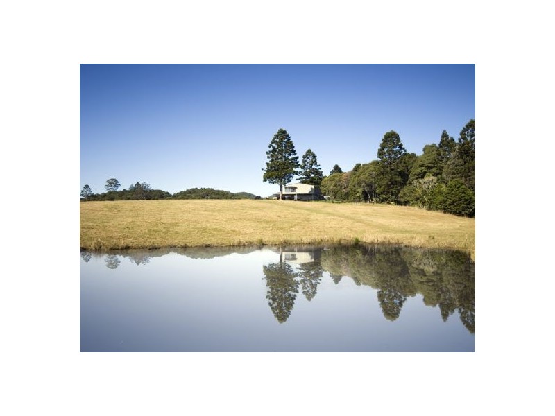 58 Upper BoBo Road, Dorrigo NSW 2453