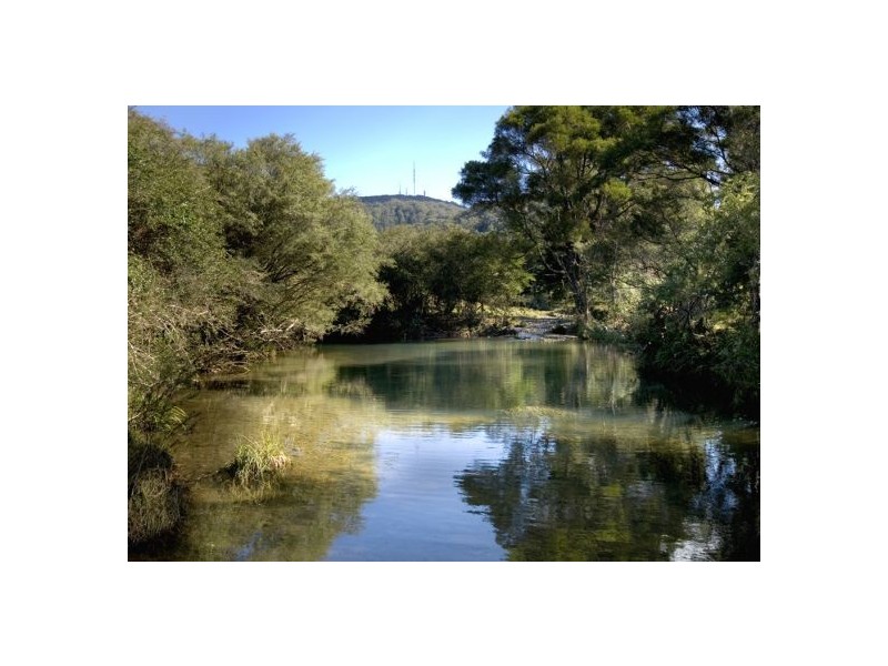 58 Upper BoBo Road, Dorrigo NSW 2453