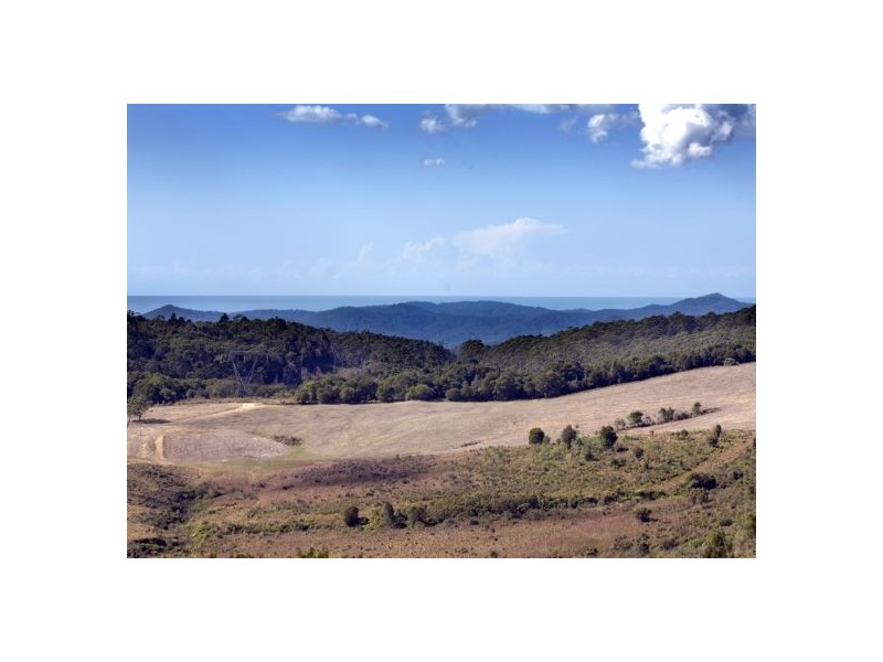 58 Upper BoBo Road, Dorrigo NSW 2453
