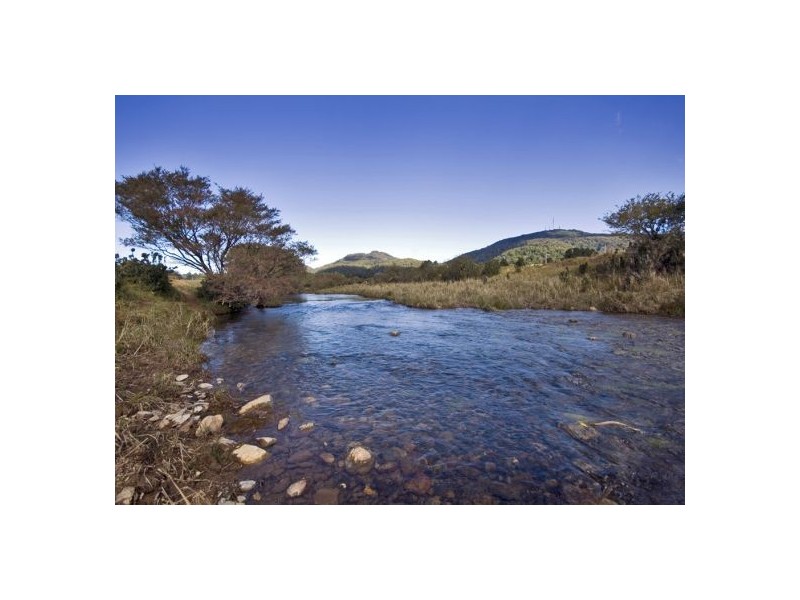 58 Upper BoBo Road, Dorrigo NSW 2453