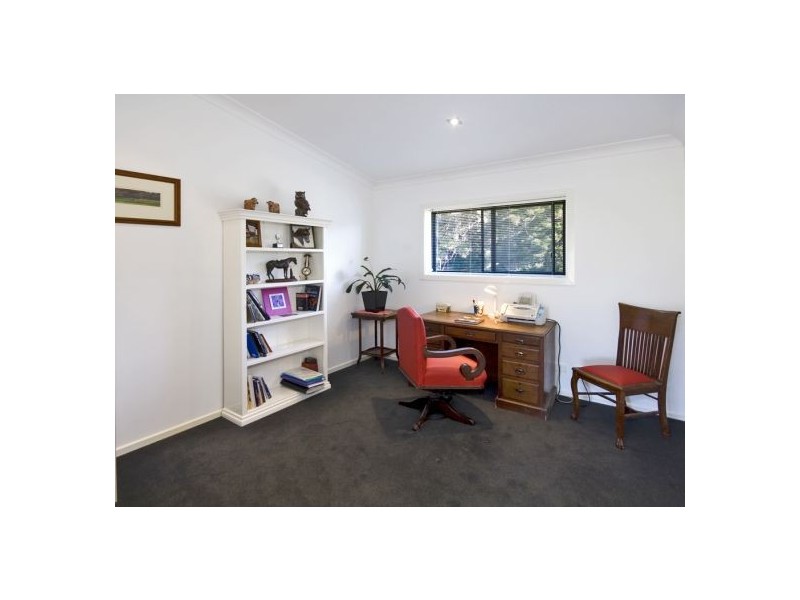 58 Upper BoBo Road, Dorrigo NSW 2453