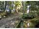 58 Upper BoBo Road, Dorrigo NSW 2453