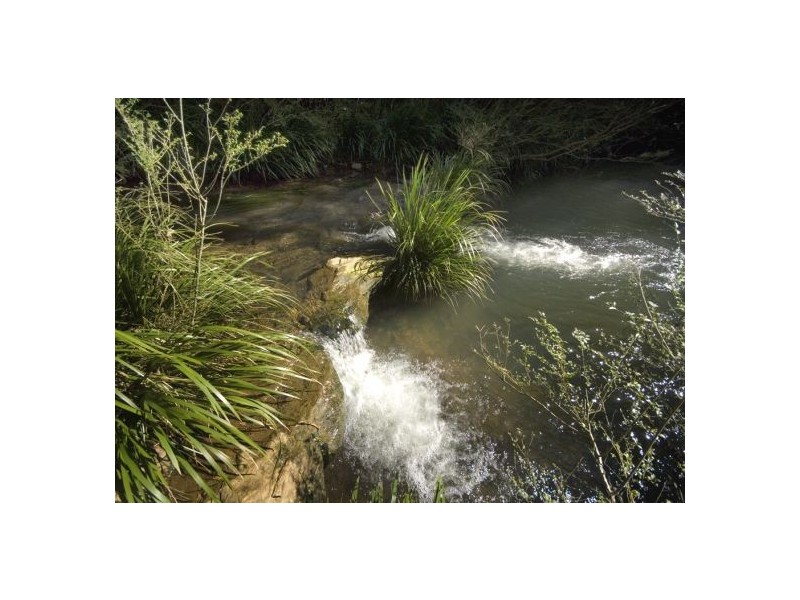 58 Upper BoBo Road, Dorrigo NSW 2453