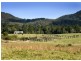 58 Upper BoBo Road, Dorrigo NSW 2453