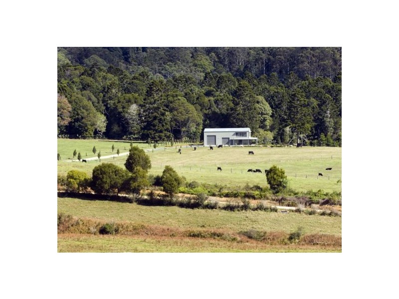 58 Upper BoBo Road, Dorrigo NSW 2453