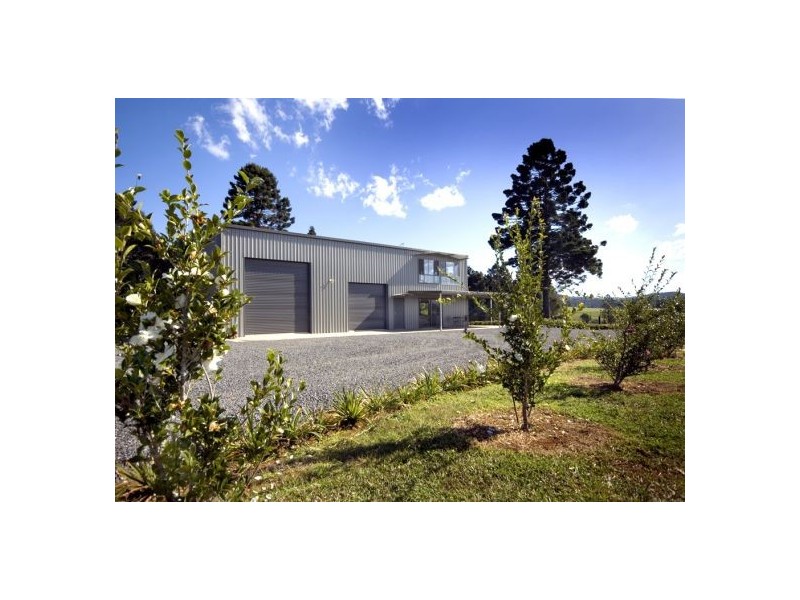 58 Upper BoBo Road, Dorrigo NSW 2453