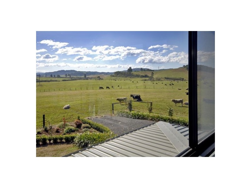 58 Upper BoBo Road, Dorrigo NSW 2453